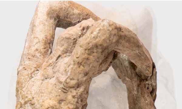 25 ottobre 2023-10 marzo 2024